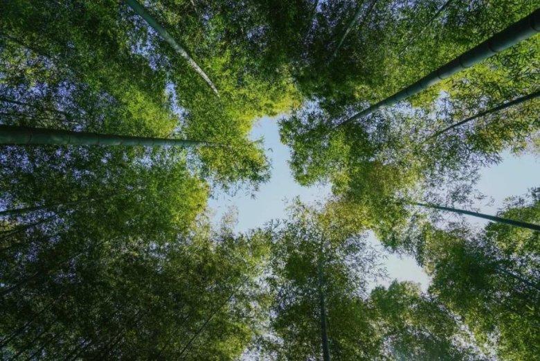 明增暗降,亚瑟两个增强不仅鸡肋,而且无用,换来的却是削弱核心1技能!