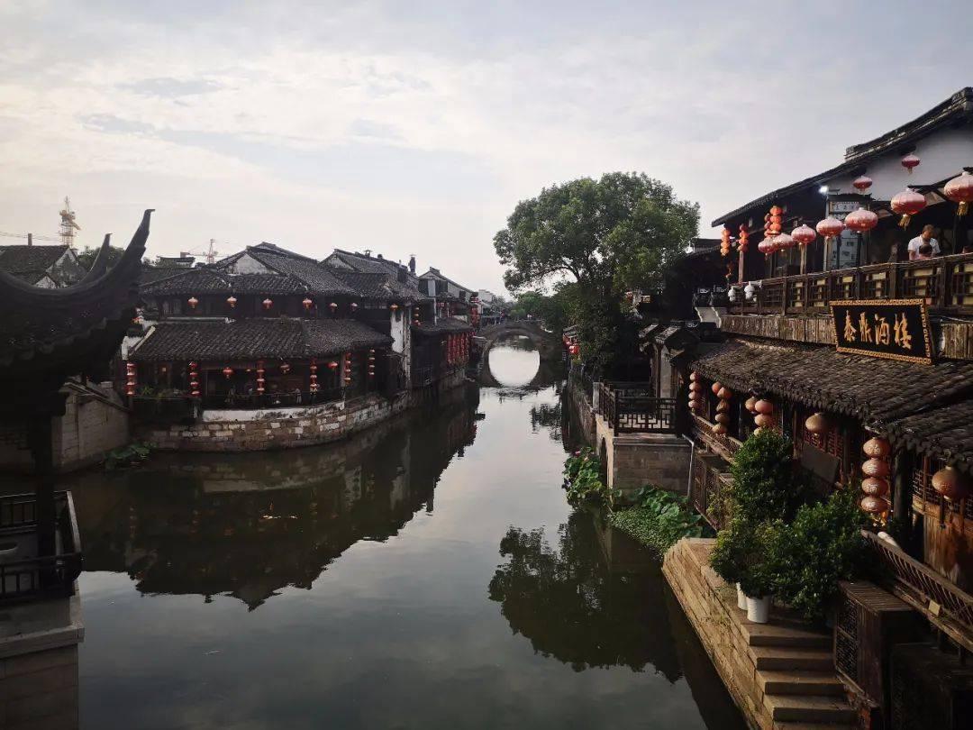 森系丛林